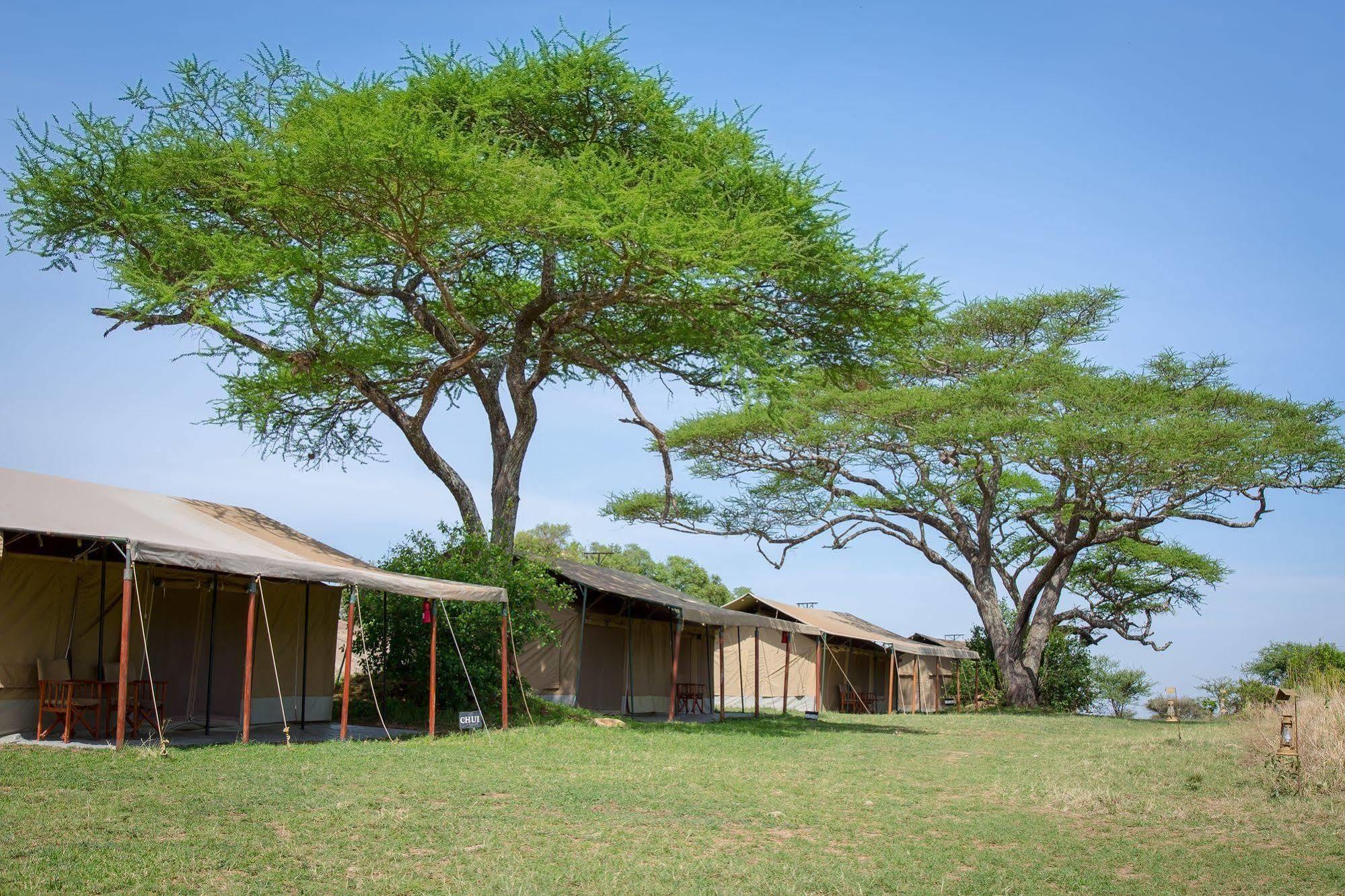 Kisura Serengeti Camp Soronera Exterior foto